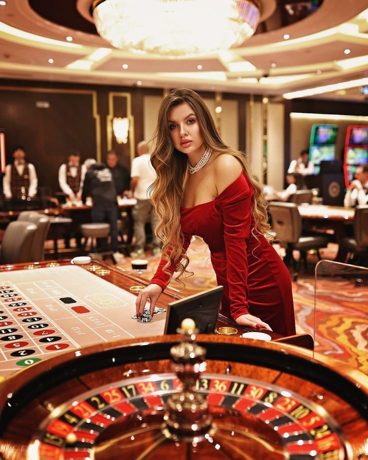 6677bet